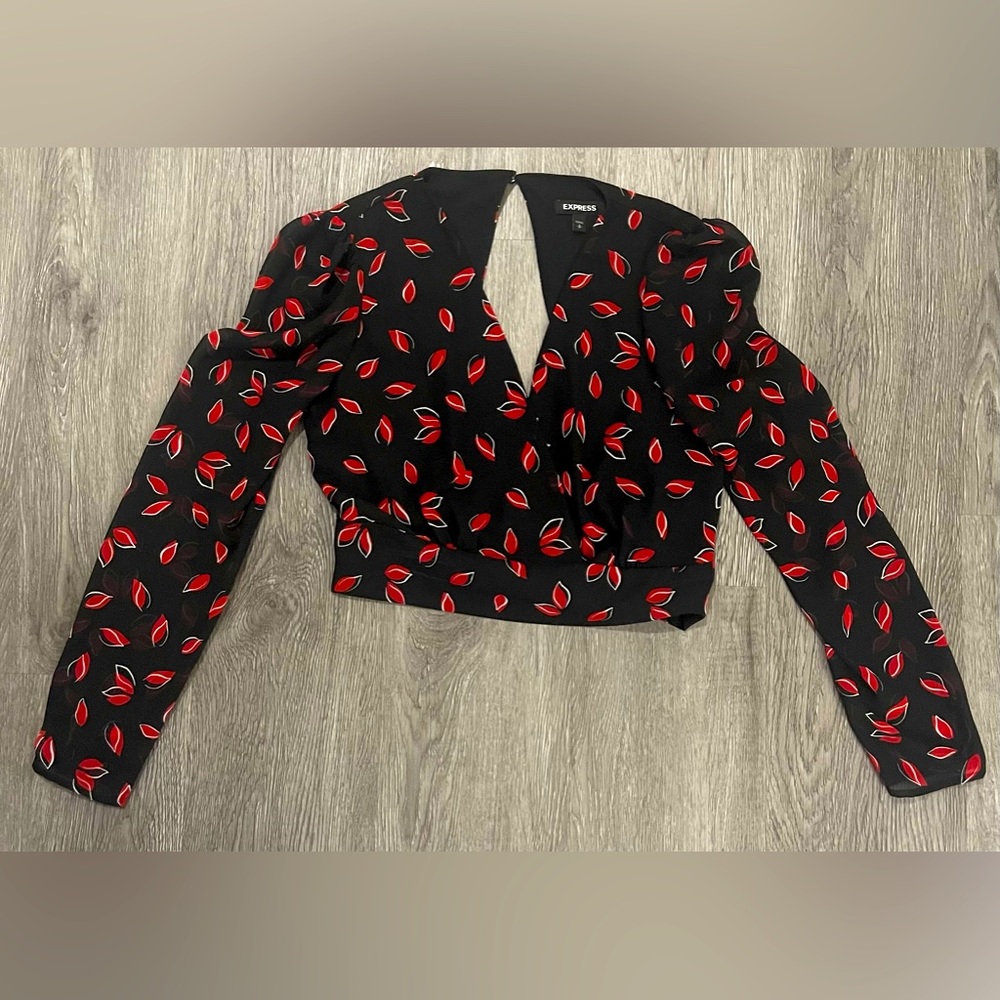 Express long sleeve cropped vneck open back blouse